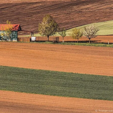 Moravske Toskansko Apartamento *